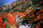 紅葉の御嶽山
